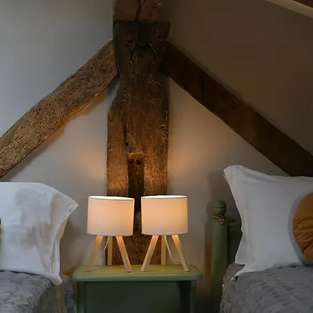 Appartement Jungle Chic 1 - Bemyhost *