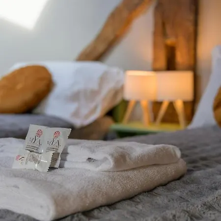 Appartement Jungle Chic 1 - Bemyhost *